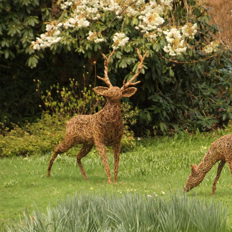 Photo - Ramster Garden