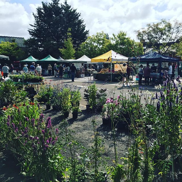 Farnham Farmers Market - Best Surrey Marketplaces