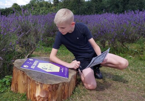 Mayfield Lavender Farm – Last Chance for 2021!
