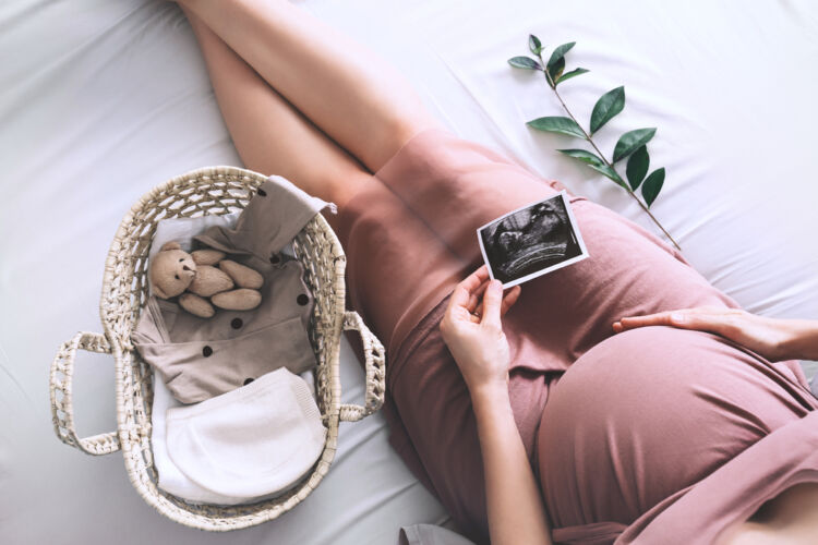 Photo - Phoenix Ultrasound