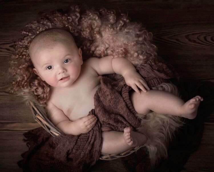 Photo - Phoenix Ultrasound