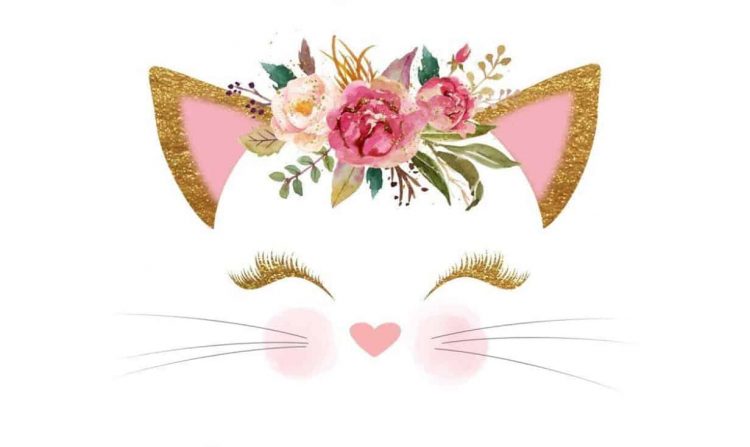 Photo - Little Lotus Beauty Room