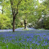 Photo - Ramster Garden