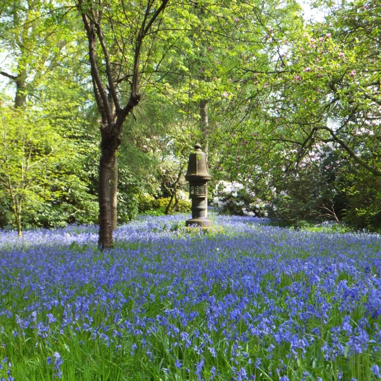 Photo - Ramster Garden