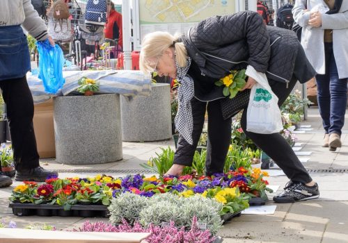 Leatherhead Street Market 2019