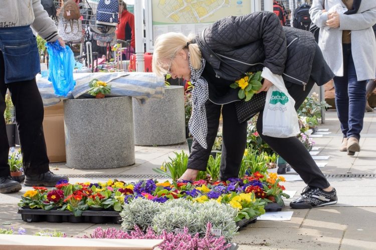 Leatherhead Street Market 2019