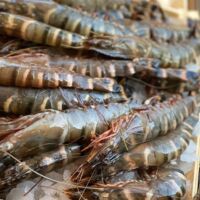 Photo - Williams & Bunkell Fishmonger