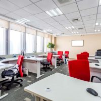 Photo - Spruce Limited