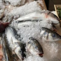 Photo - Williams & Bunkell Fishmonger