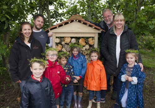 Shere Craftsmen and Albury Vineyard create a 5-star hotel for lucky bugs