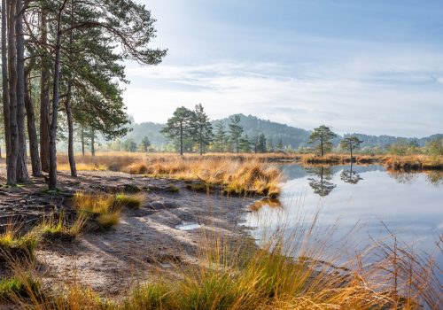 Surrey Artists Open Studios: Your Chance to Connect with Local Artists