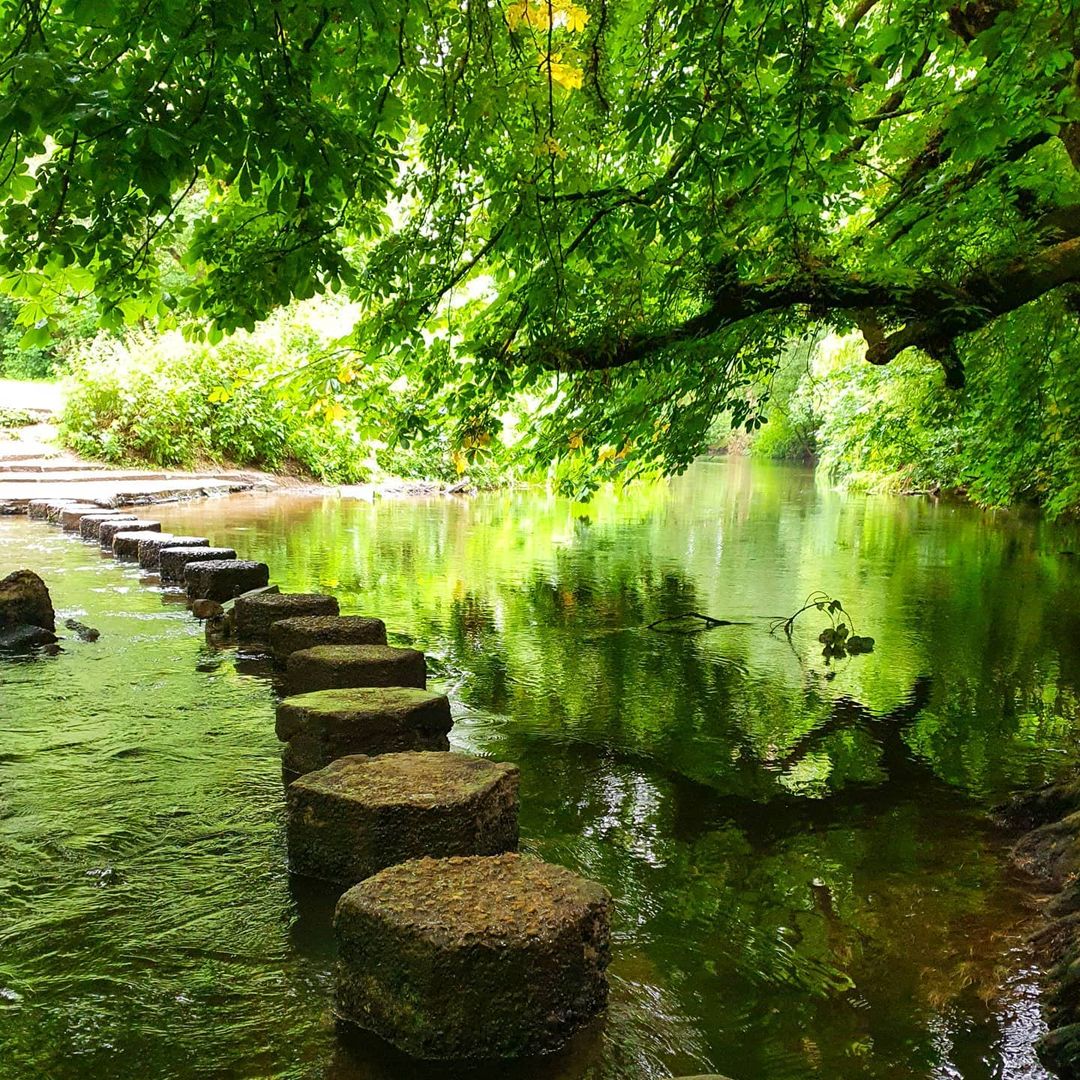Box Hill Stepping Stones Walk - Best Surrey Walks: Discover the great outdoors in your backyard