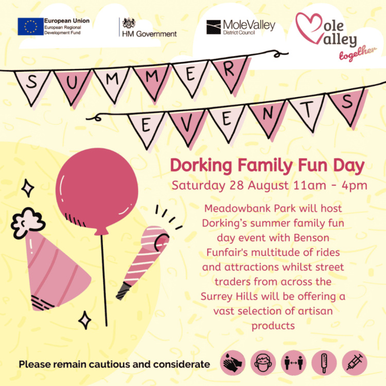 Dorking Family Fun Day