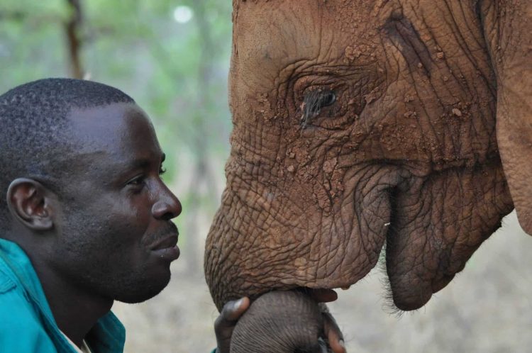 David Shepherd Wildlife Foundation