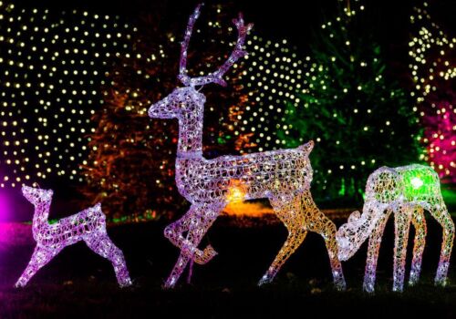Christmas At Groombridge Place