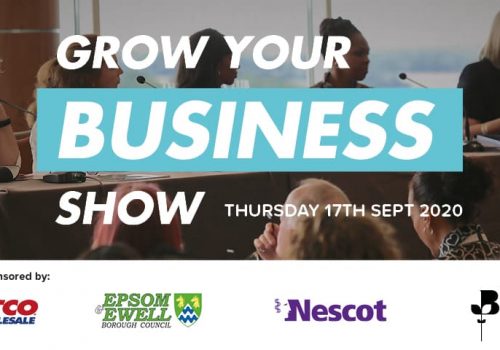 Grow Your Business Show