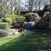 Photo - Cala Garden Maintenance