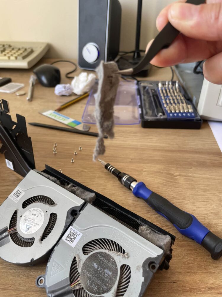Photo - Computer Genie