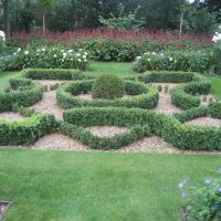 Photo - Cala Garden Maintenance