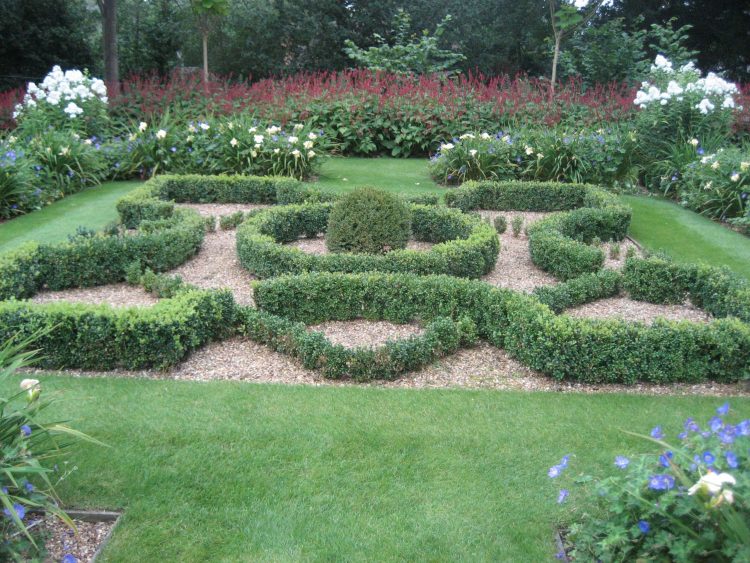 Photo - Cala Garden Maintenance