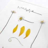 Photo - Flower Press Studios