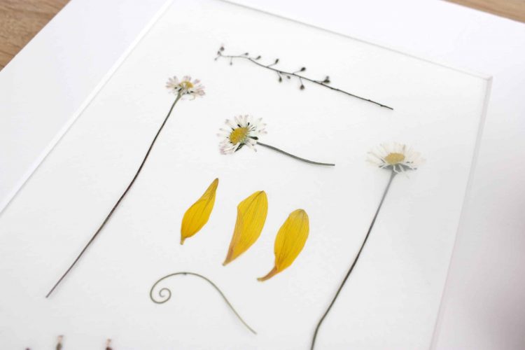 Photo - Flower Press Studios