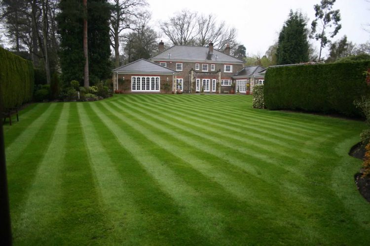 Photo - Cala Garden Maintenance