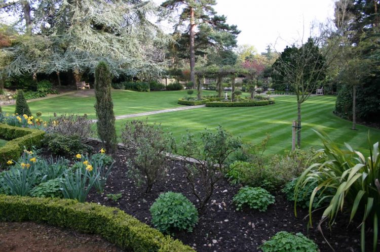 Photo - Cala Garden Maintenance