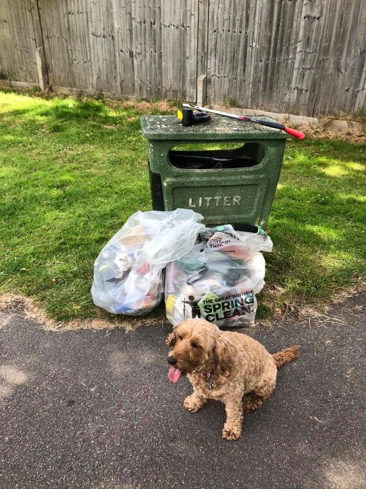 Litter and dog 