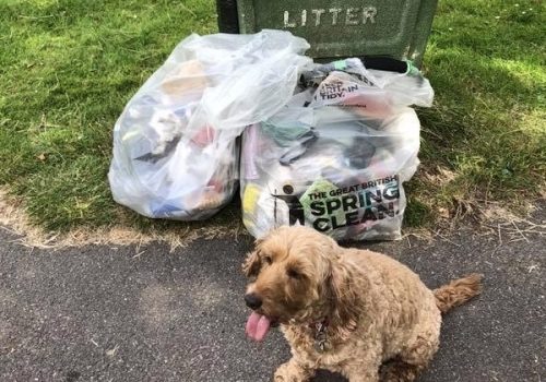 The Litter Picking Community Keeping Surrey Tidy