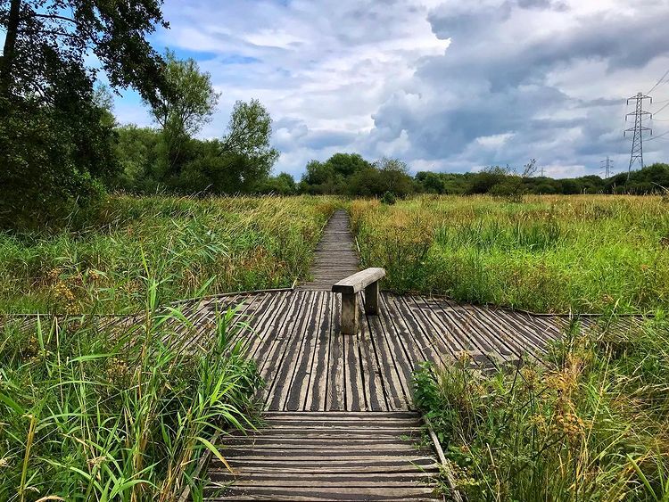 Riverside Nature Reserve - Best Surrey Walks: Discover the great outdoors in your backyard