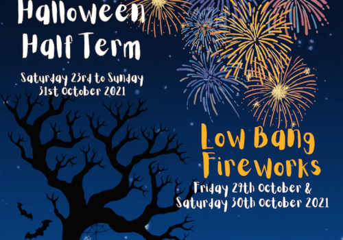 Halloween Half Term at Godstone Farm