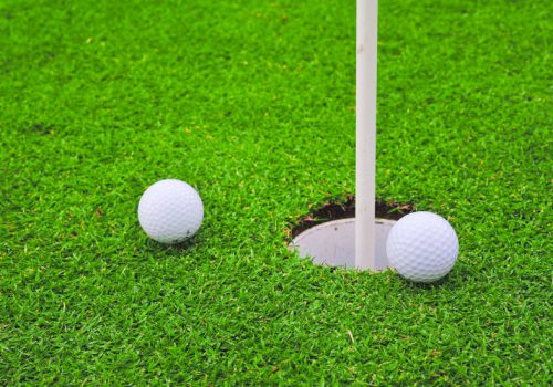 Golf Swing Systems Ltd