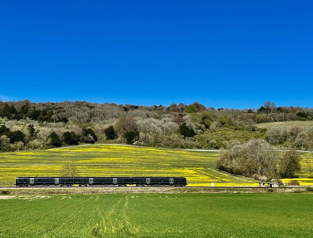 Abinger Roughs Nature Walk - Best Surrey Walks: Discover the great outdoors in your backyard