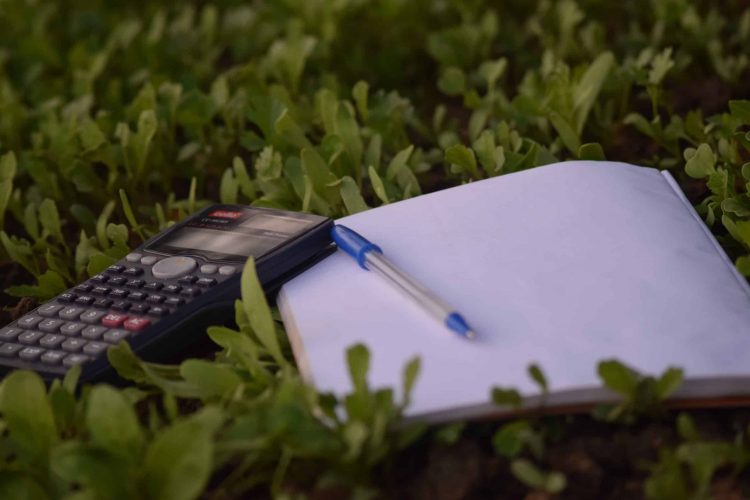 Photo - Stone Balance Accounting