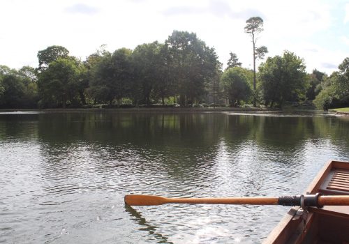 Be enchanted at Claremont Landscape Garden