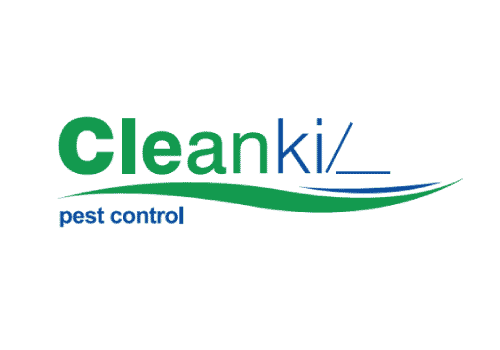 Experienced Administrator
