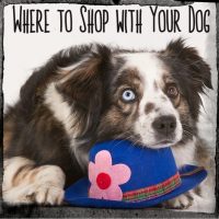 Photo - Explore On Paw