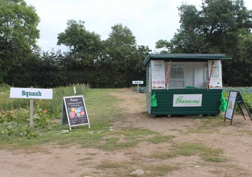 Pick Your Own this Autumn at Garsons Farm, Esher