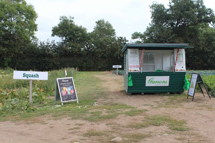 Pick Your Own this Autumn at Garsons Farm, Esher