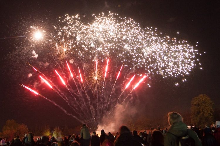 Bonfire Night in Surrey