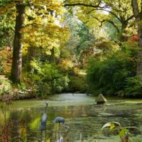 Photo - Ramster Garden