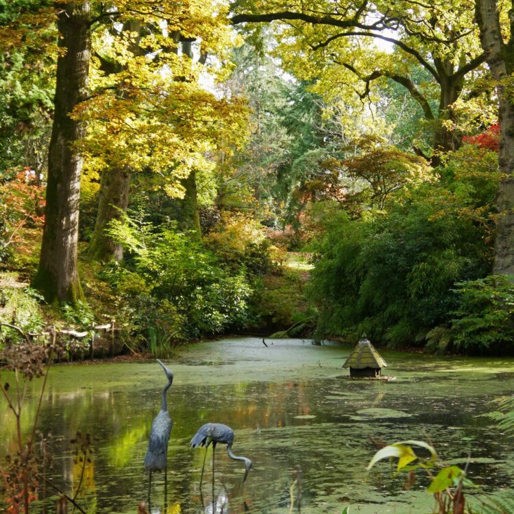 Photo - Ramster Garden