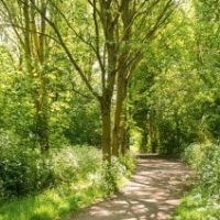 Photo - Nonsuch Abbeyfield
