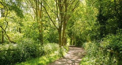 Photo - Nonsuch Abbeyfield