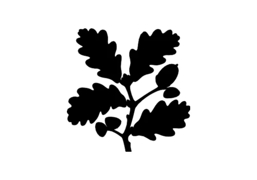 National Trust official logo