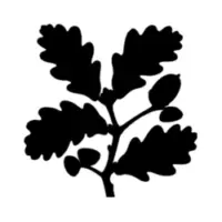 National Trust official logo