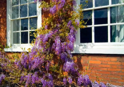 Sash Windows Tunbridge Wells