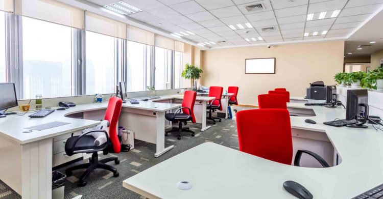 Spruce Limited