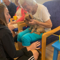 Photo - CAMEO Day Centres